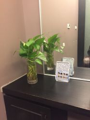 -史云逊养发护发