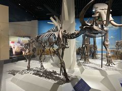 -国家自然博物馆