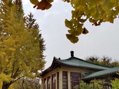 -中国农业博物馆