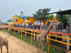 -西霞口神雕山野生动物世界