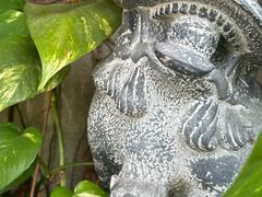 -武吉知马自然保护区