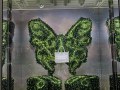 -深圳湾万象城(南山店)