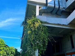-广州市紫泥堂文化创意园景区
