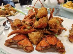 -饭饭掂