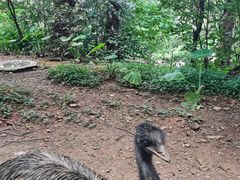 -昆明动物园