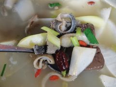 -墨脱石锅椰子鸡•香草鸭•东山羊(大东海店)