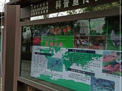 -合肥野生动物园