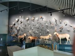 -中国湿地博物馆