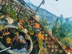 -葛子涧农家宴