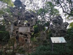 -中山公园