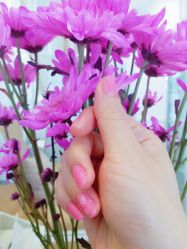 -绘甲社NACHO&DAI SALON