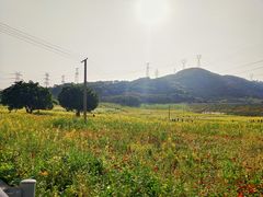 -石峰岩寺