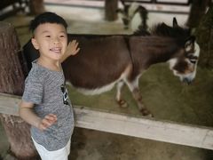 -清迈夜间动物园