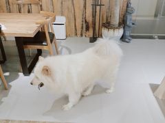 -肆兮眼镜·蔡司·徕卡战略合作店(大坪店)