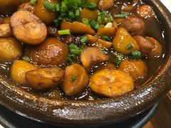 -木子山庄·安徽省老字号·中国炖锅宴