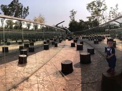 -武清南湖绿博园