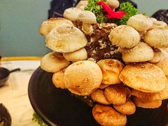 香菇(活体)-今日炊牛·潮汕牛肉火锅(华采天地店)
