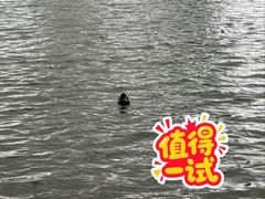 -东湖公园