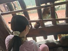 -长鹿旅游休博园
