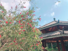 -亚龙湾热带天堂森林公园