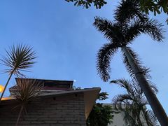 -天然居(伦教店)