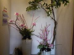 -韵道养生.足道.按摩.SPA(古美店)