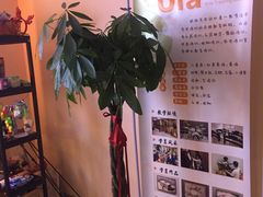 -欧拉艺术培训中心(福星新城店)