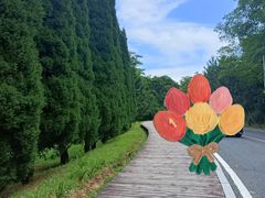 -棒棰岛宾馆景区