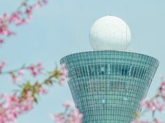 -狐尾山公园