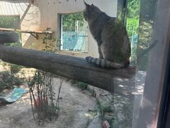 -青藏高原野生动物园