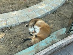 -无锡动物园·太湖欢乐园