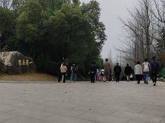 -庐山风景名胜区-东林大佛