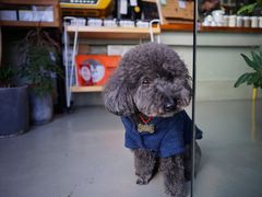 -唐咖精品咖啡(大理古城手冲店)