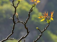 -黑龙潭风景区