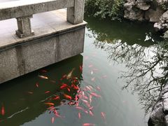 -全季酒店（苏州观前街平江路店）(原临顿路地铁站店)