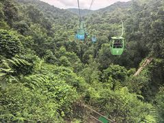 -野象谷景区