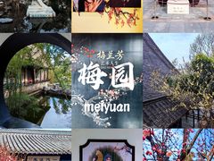 -梅园