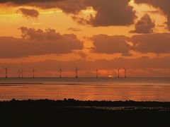 -春花秋色城市公园