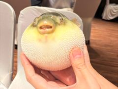 -永安鱼庄·镇江菜(东吴路店)