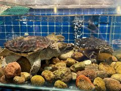 水产区-健眺小海鲜(临海后山店)