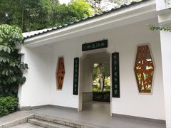 -晓港公园
