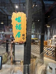 -酷嗒动物文化乐园(cutezoo西溪乐天城店)