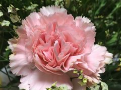 -星巴克(广州中华广场B1层店)