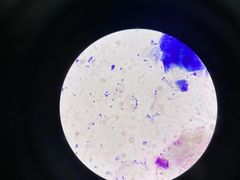 -拜鲁耶动物诊疗中心·宠家动物医院