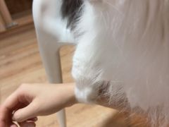 -白兔子密室(长寿路店)