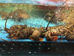 -阿伟海鲜楼·福建菜(延寿店)