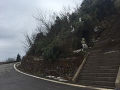 -武陵山森林公园