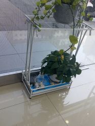 -蕾特恩祛痘•皮肤管理