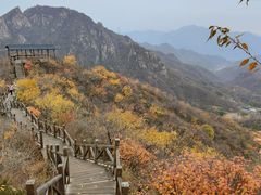 -大岭沟猕猴桃谷风景区