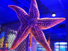 -海韵之星邮轮水会(明发商业广场店)